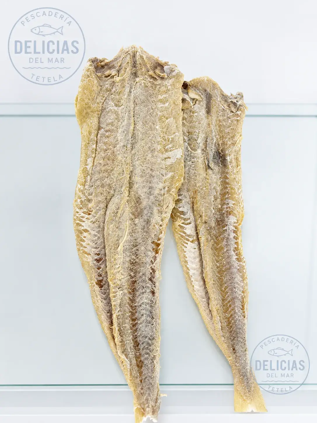 Filete de Salmón Premium